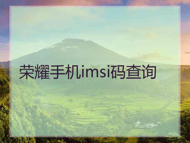 荣耀手机imsi码查询