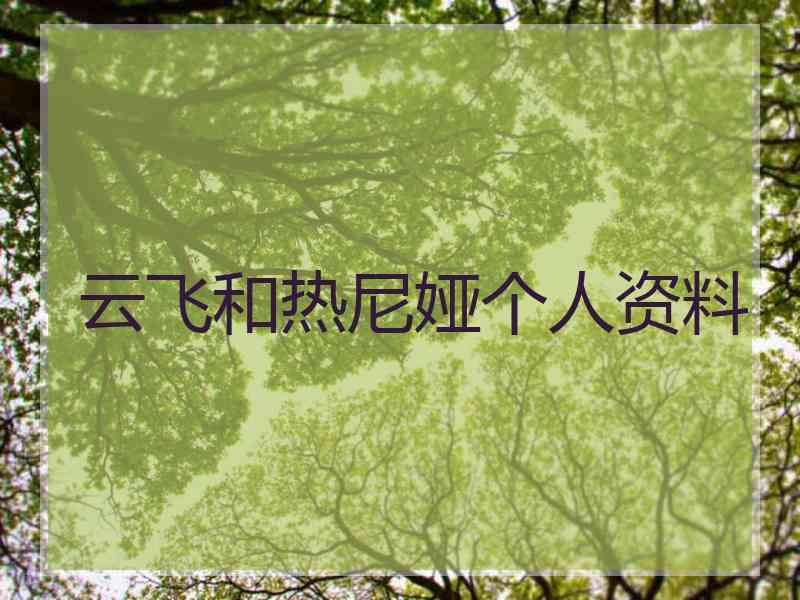 云飞和热尼娅个人资料
