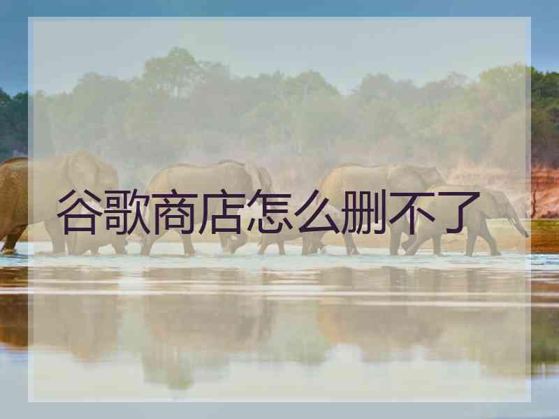谷歌商店怎么删不了