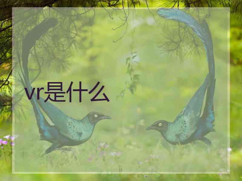 vr是什么