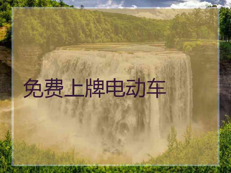 免费上牌电动车