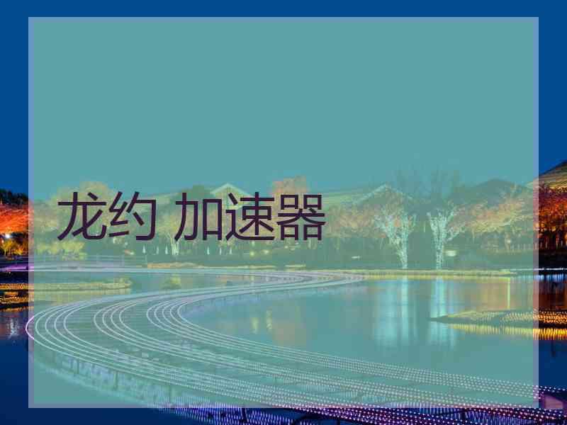 龙约 加速器