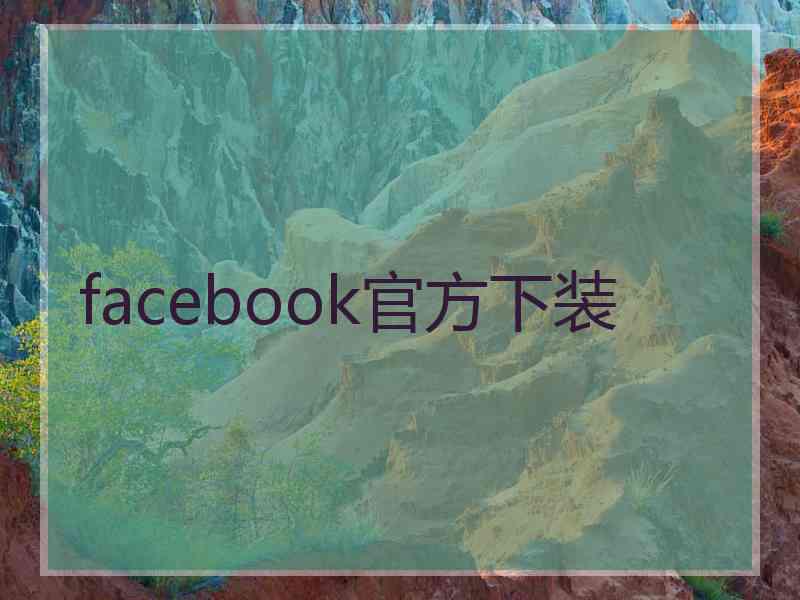 facebook官方下装