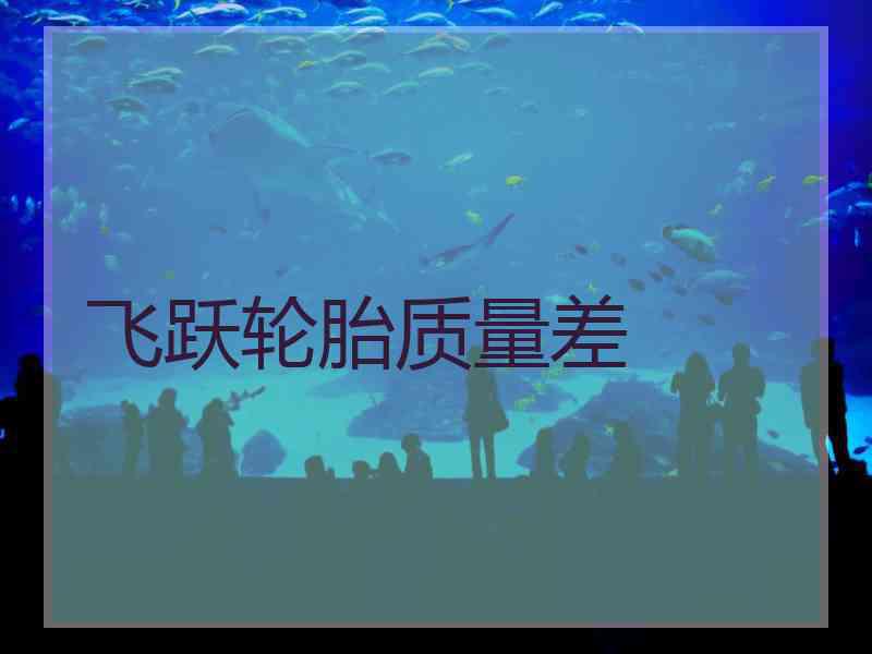 飞跃轮胎质量差