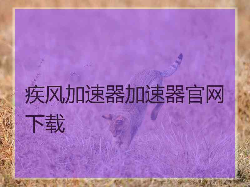 疾风加速器加速器官网下载