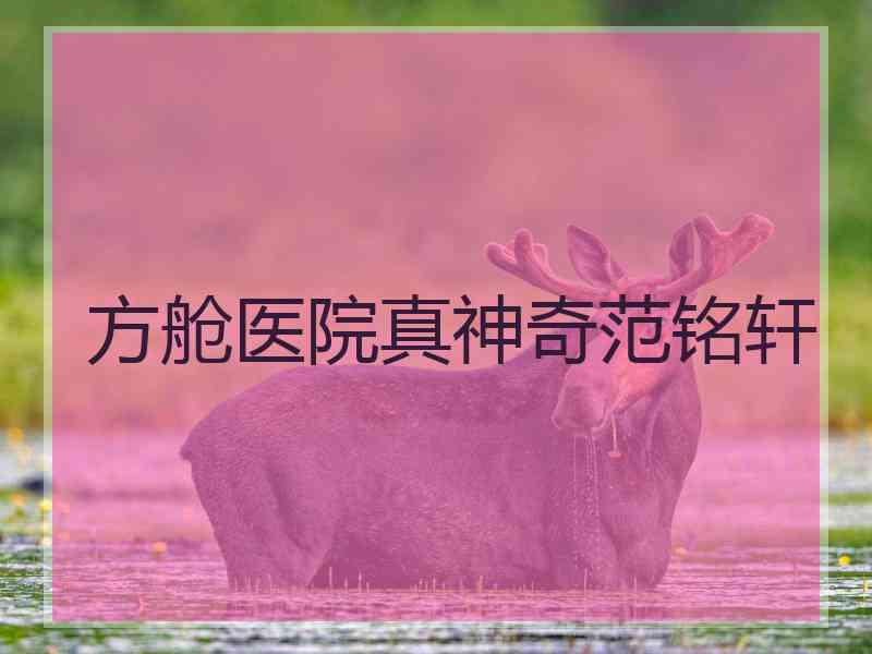 方舱医院真神奇范铭轩