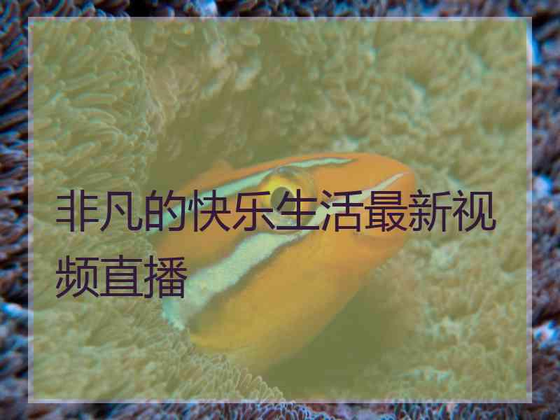 非凡的快乐生活最新视频直播