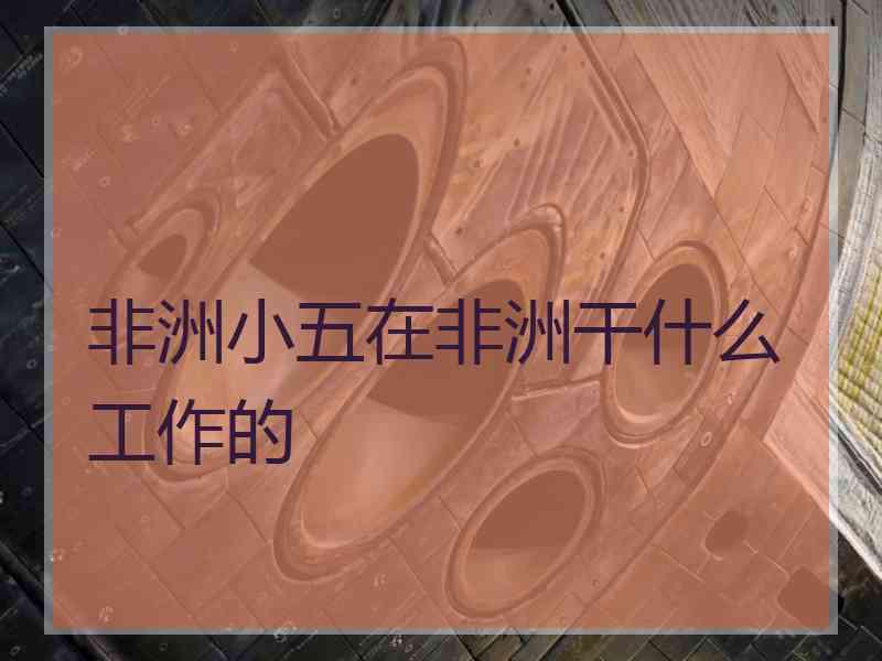 非洲小五在非洲干什么工作的