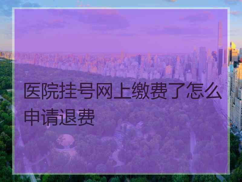 医院挂号网上缴费了怎么申请退费