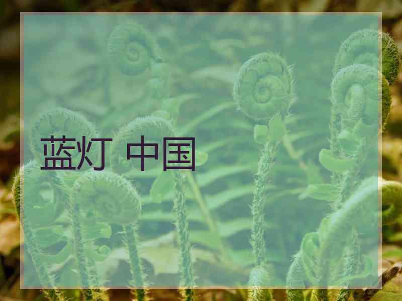 蓝灯 中国
