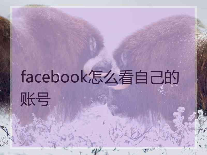 facebook怎么看自己的账号