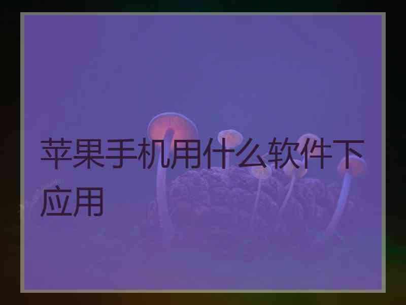 苹果手机用什么软件下应用