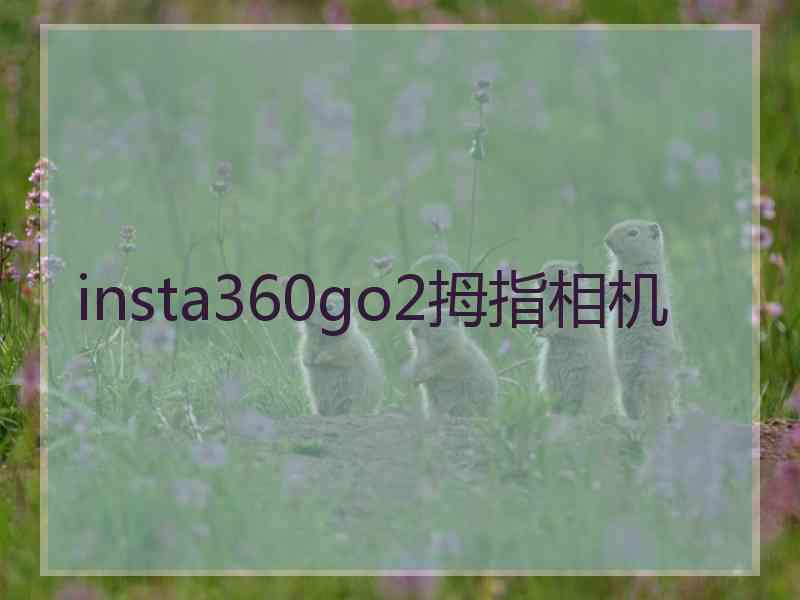 insta360go2拇指相机