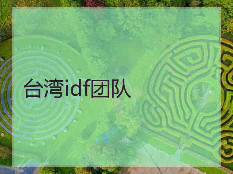 台湾idf团队