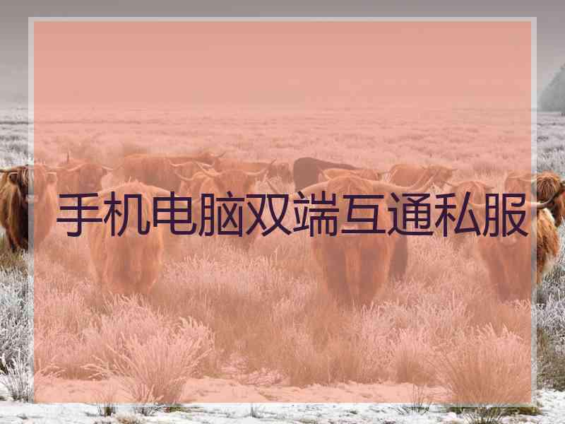 手机电脑双端互通私服