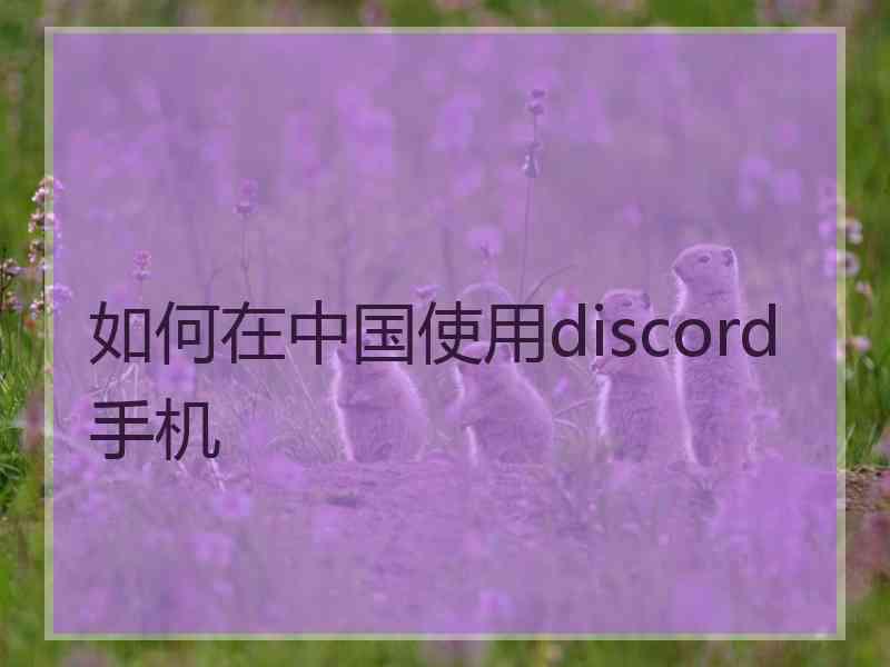 如何在中国使用discord手机