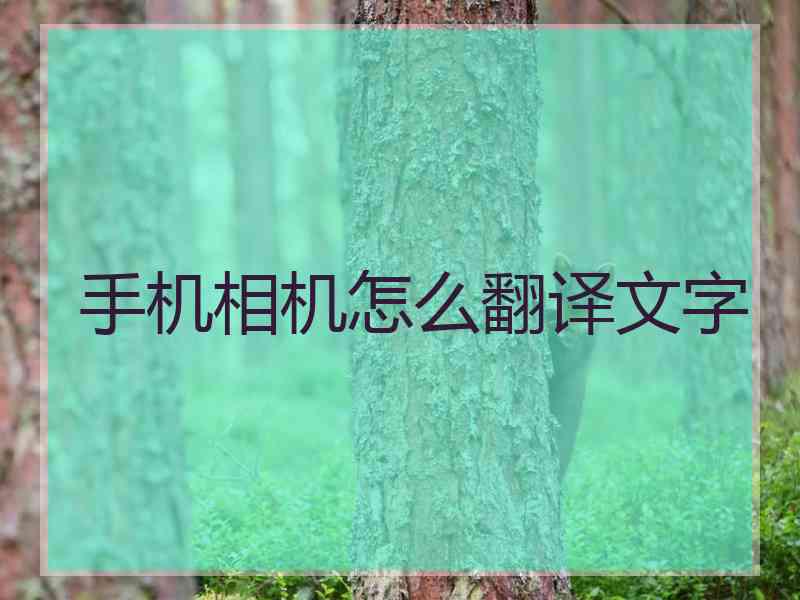 手机相机怎么翻译文字