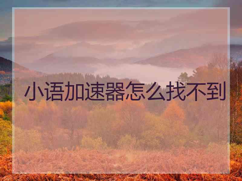 小语加速器怎么找不到