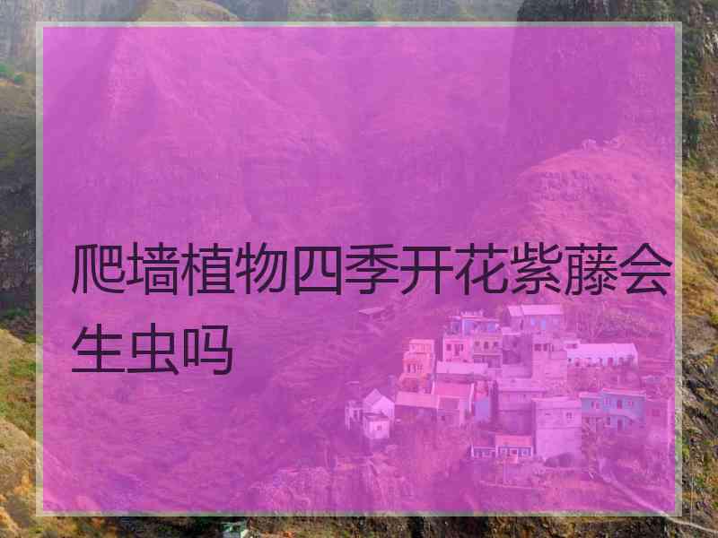 爬墙植物四季开花紫藤会生虫吗