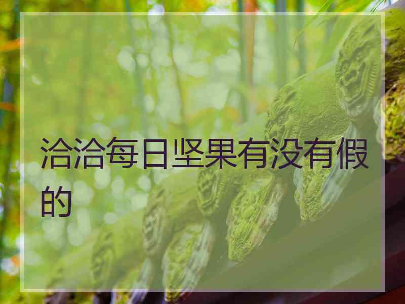 洽洽每日坚果有没有假的