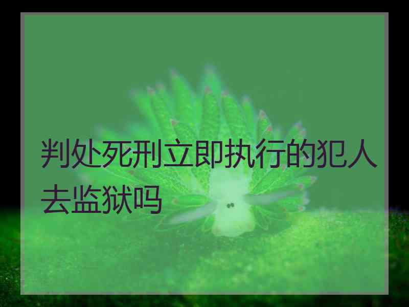 判处死刑立即执行的犯人去监狱吗