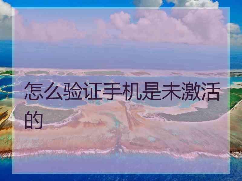 怎么验证手机是未激活的