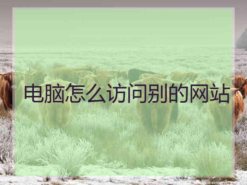 电脑怎么访问别的网站