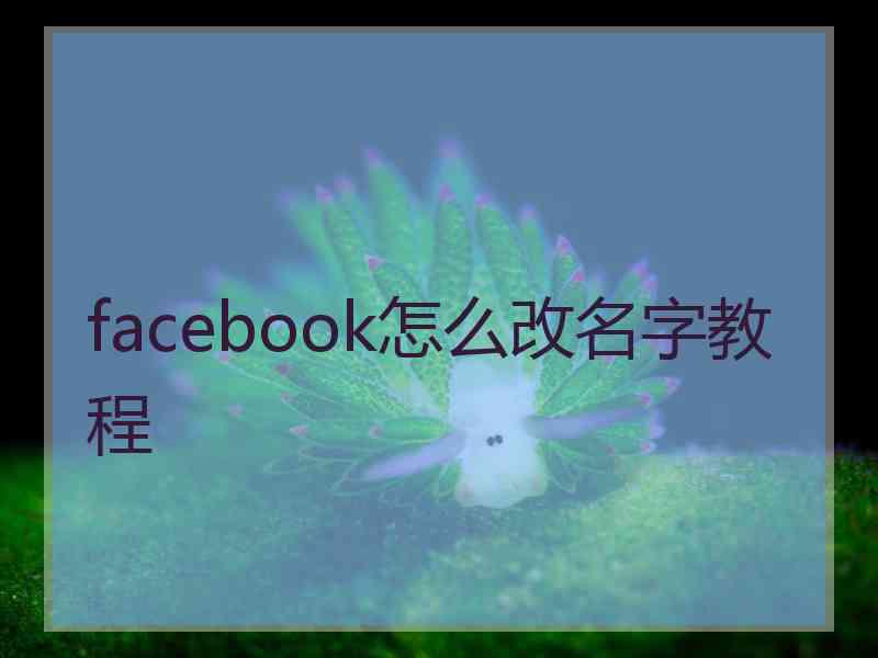 facebook怎么改名字教程
