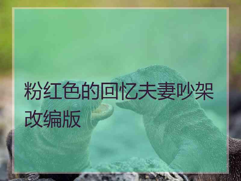粉红色的回忆夫妻吵架改编版