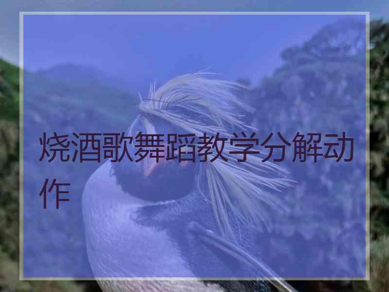 烧酒歌舞蹈教学分解动作