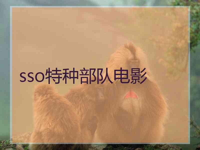 sso特种部队电影