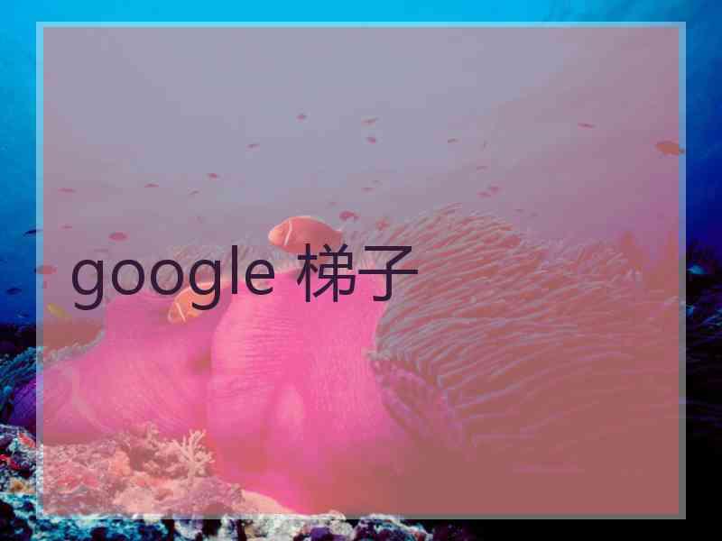 google 梯子