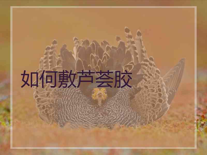 如何敷芦荟胶