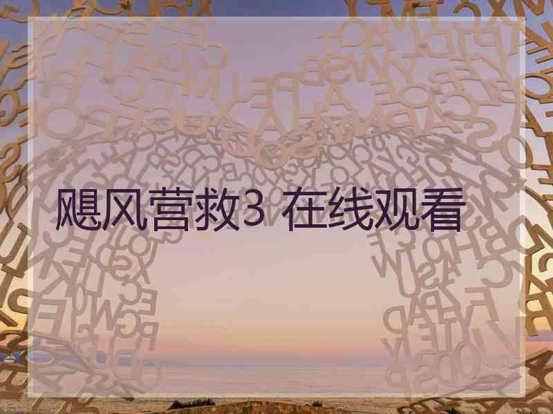 飓风营救3 在线观看