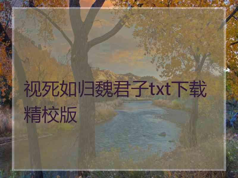 视死如归魏君子txt下载精校版