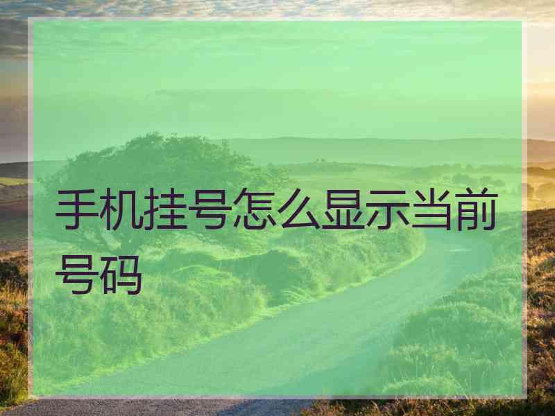 手机挂号怎么显示当前号码