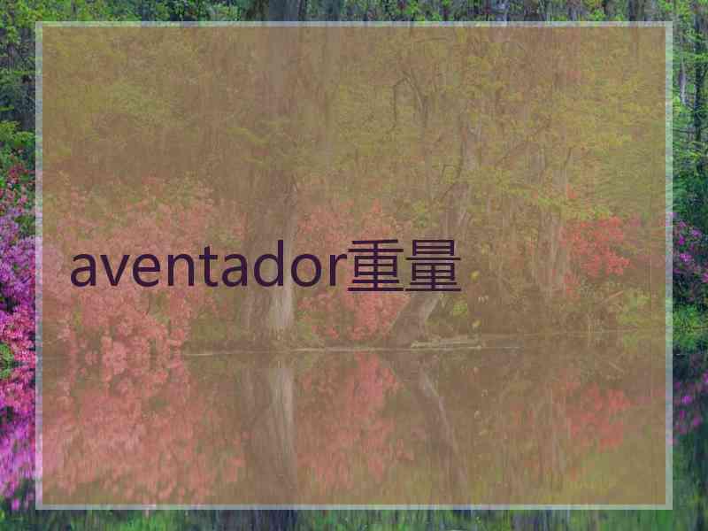 aventador重量
