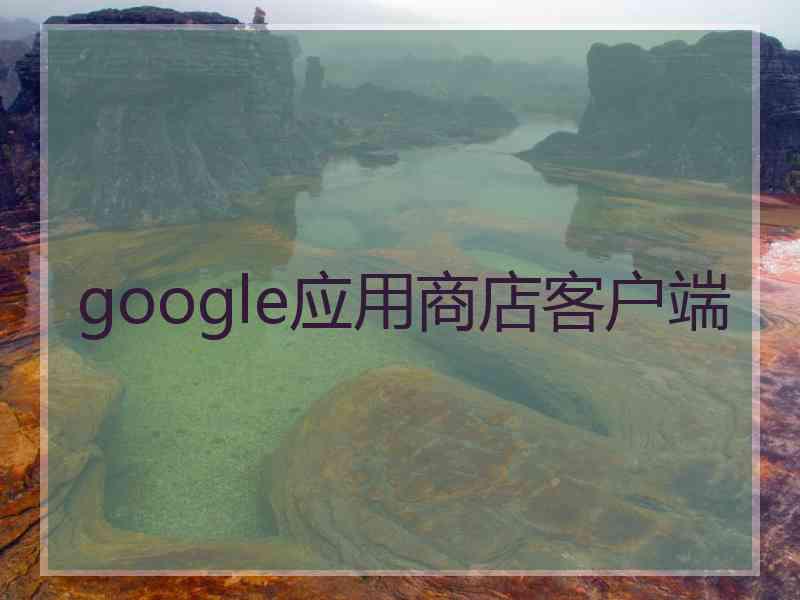 google应用商店客户端