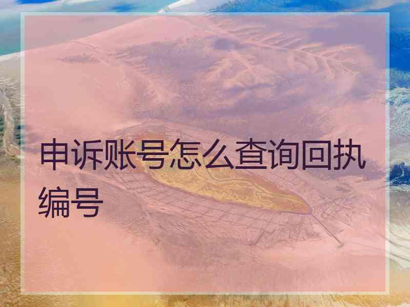 申诉账号怎么查询回执编号