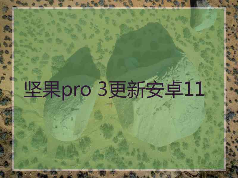 坚果pro 3更新安卓11