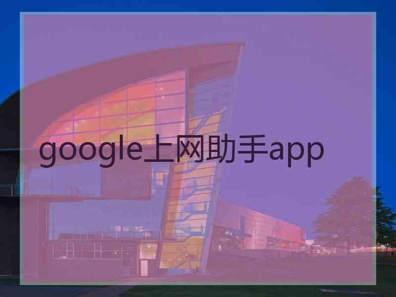 google上网助手app