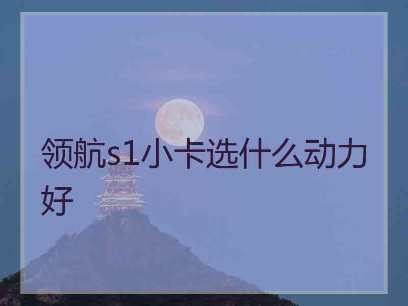 领航s1小卡选什么动力好