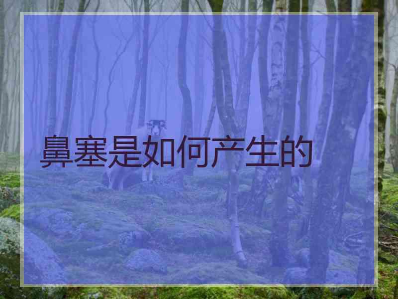 鼻塞是如何产生的
