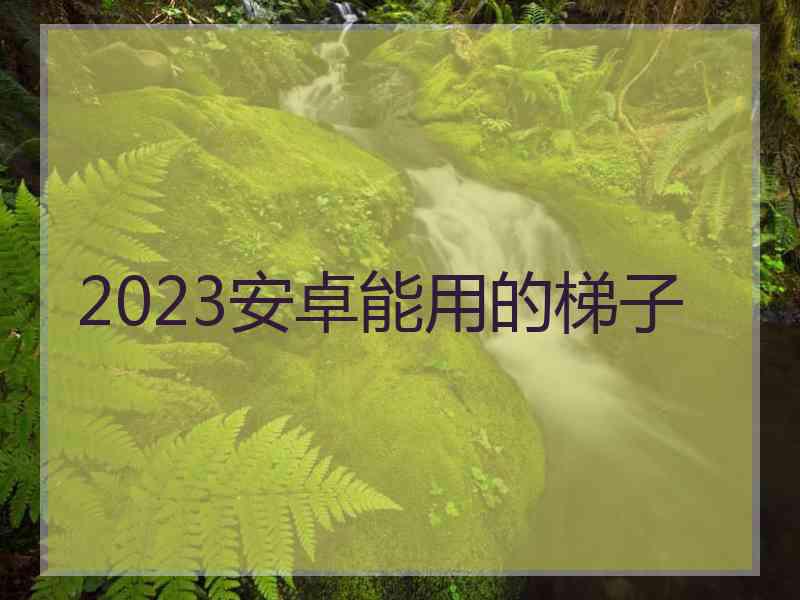 2023安卓能用的梯子