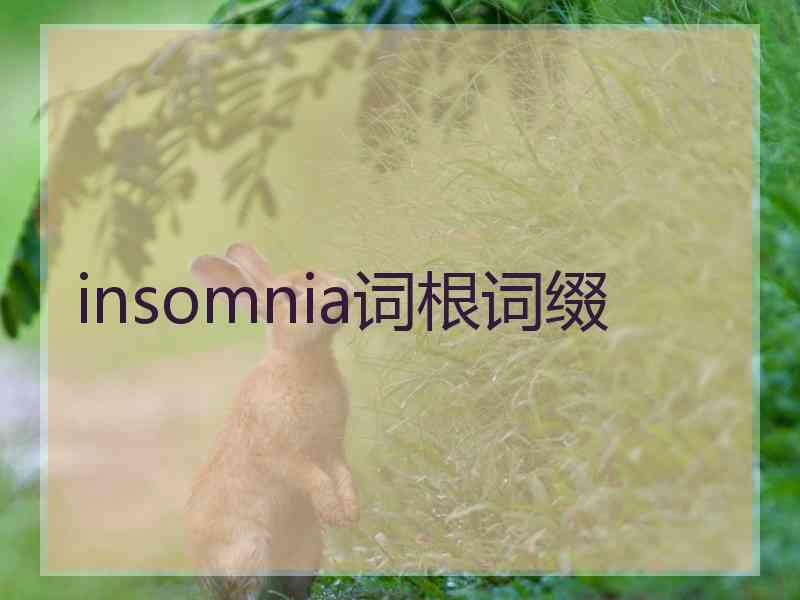 insomnia词根词缀
