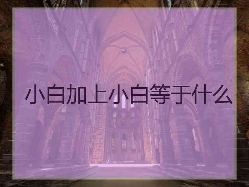 小白加上小白等于什么