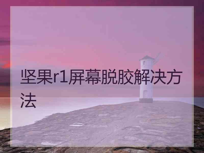 坚果r1屏幕脱胶解决方法