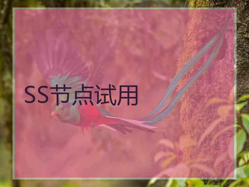 SS节点试用