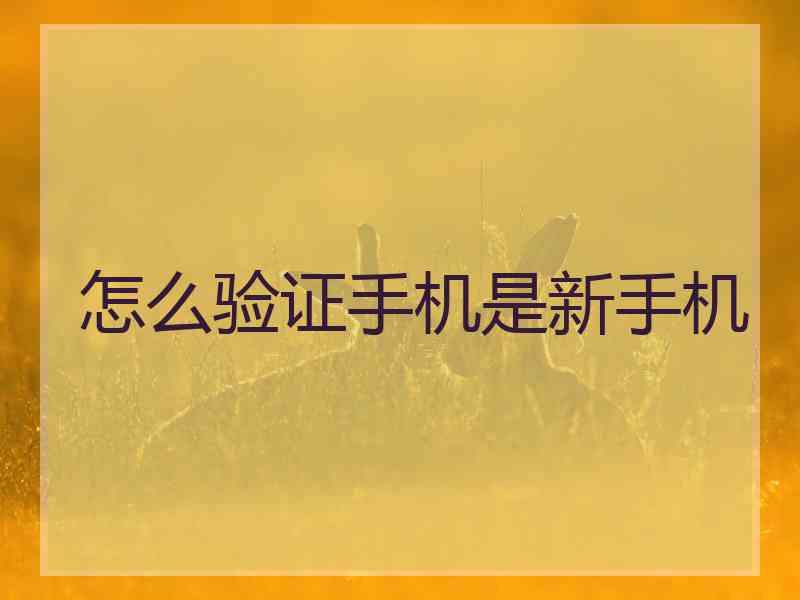 怎么验证手机是新手机