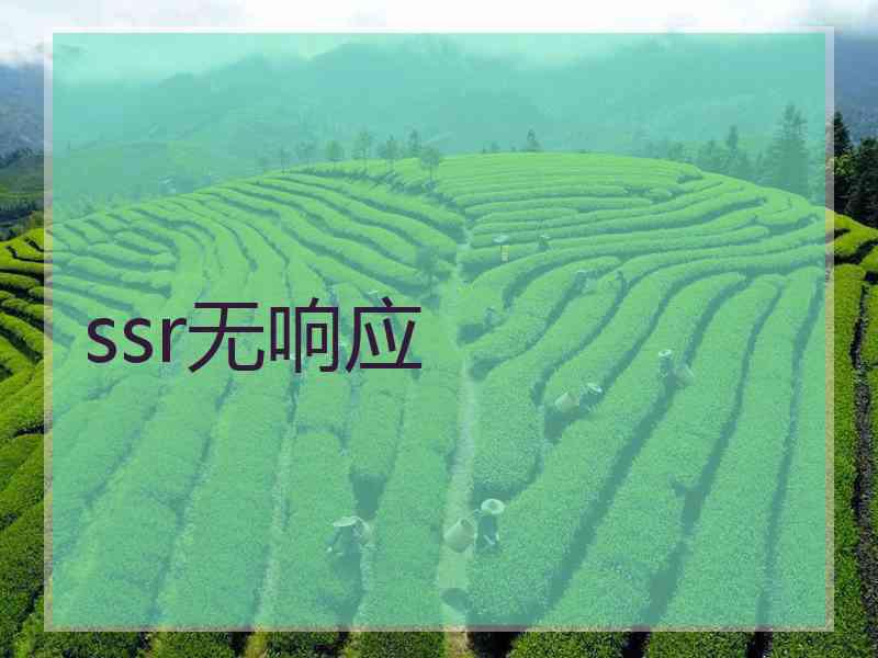 ssr无响应